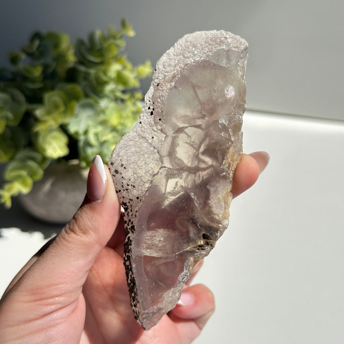 Fluorite With Pyrite Slice 138g
