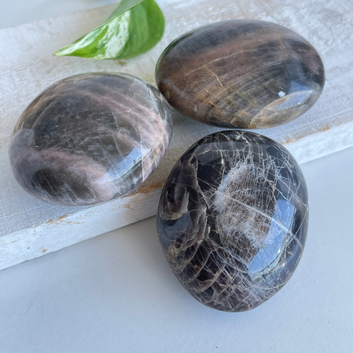 Black Moonstone Palmstone