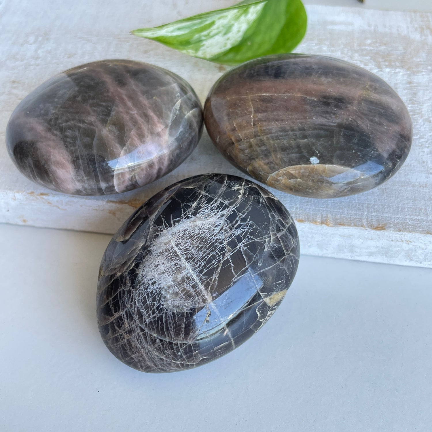 Black Moonstone Palmstone