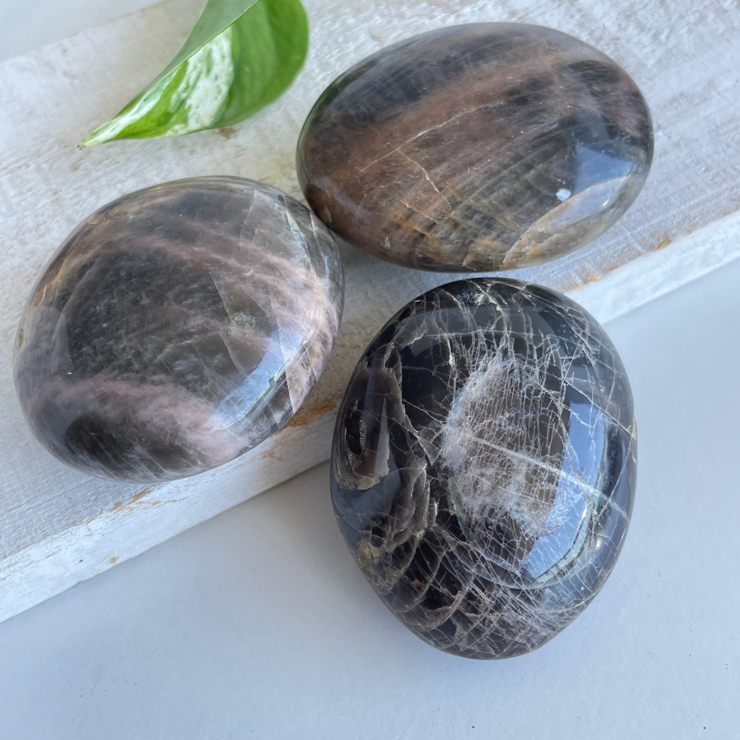 Black Moonstone Palmstone