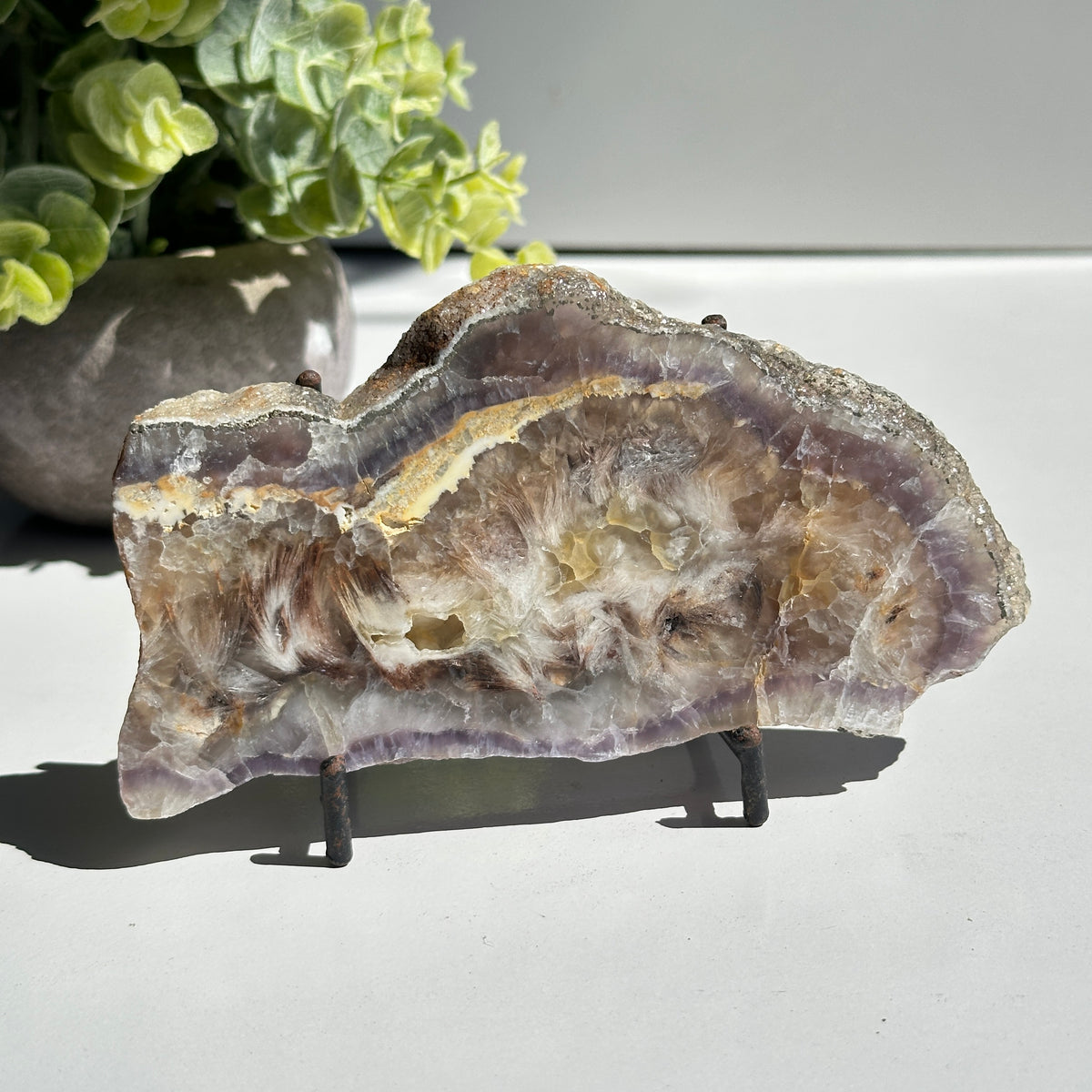 Fluorite With Pyrite Slice 284g