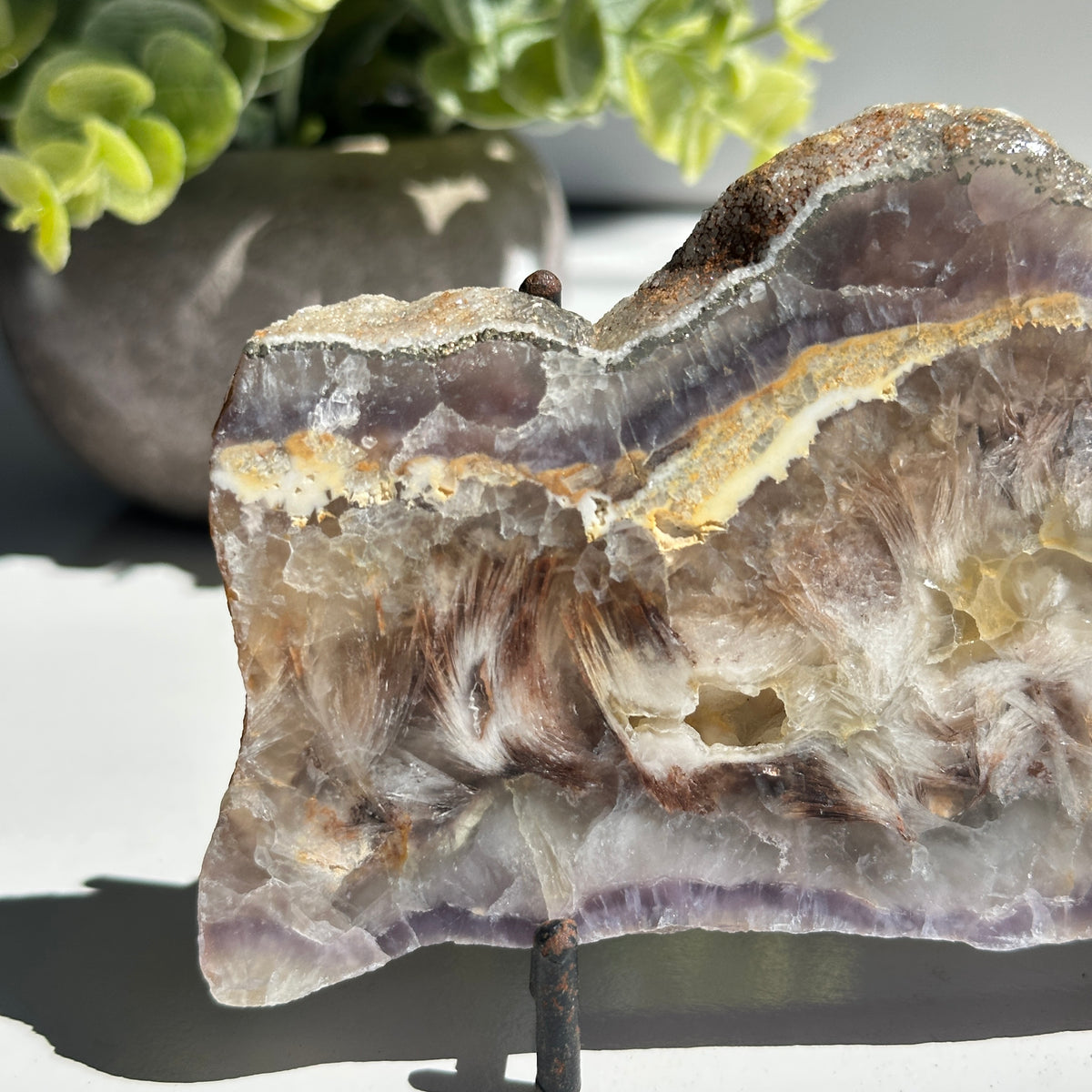 Fluorite With Pyrite Slice 284g