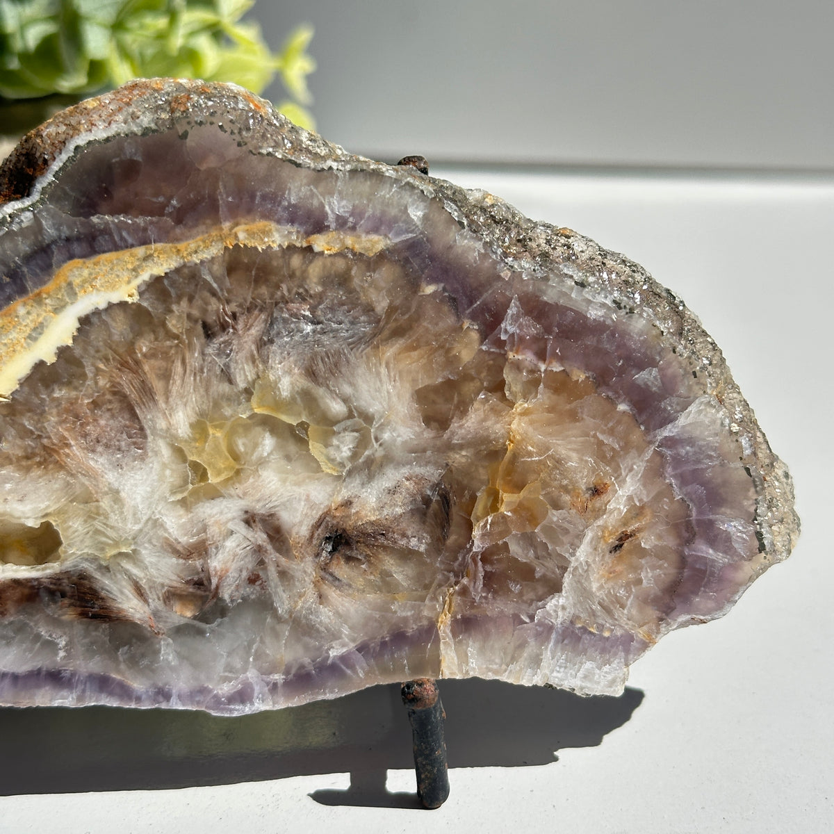 Fluorite With Pyrite Slice 284g