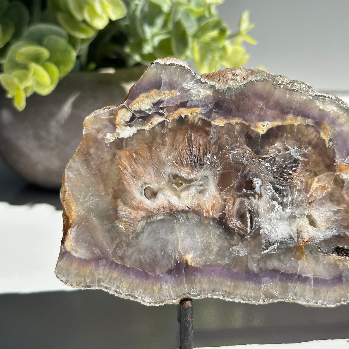 Fluorite With Pyrite Slice 274g