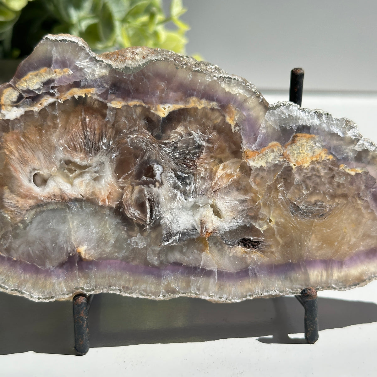 Fluorite With Pyrite Slice 274g
