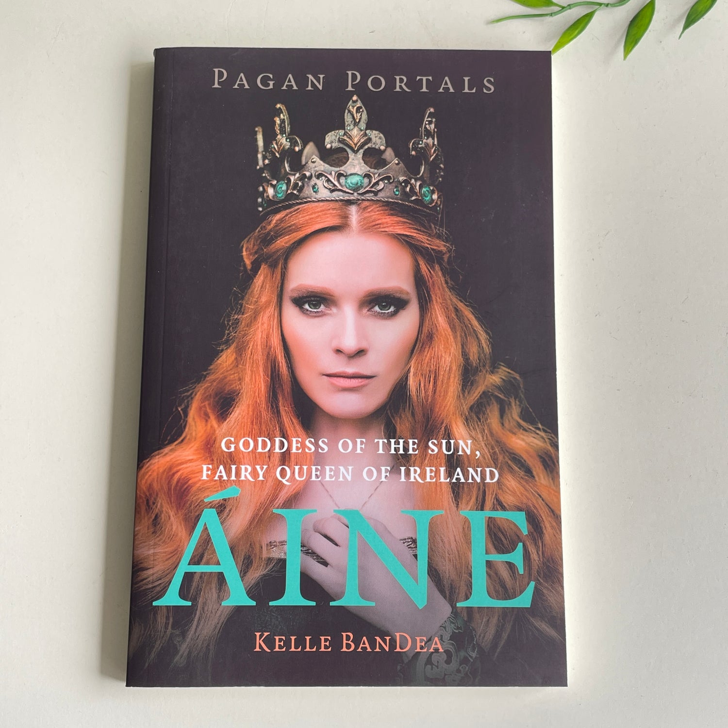 Pagan Portals Aine Kellee Brandea