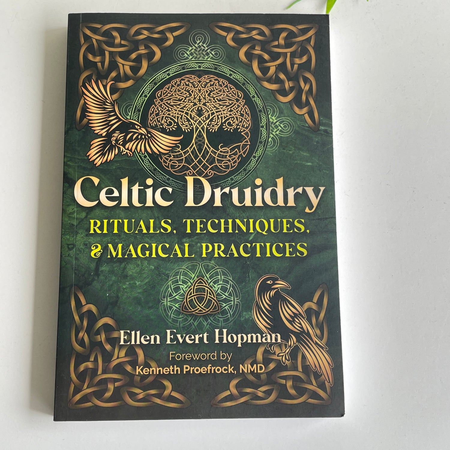 Celtic Druidry Ellen Evert Hopman