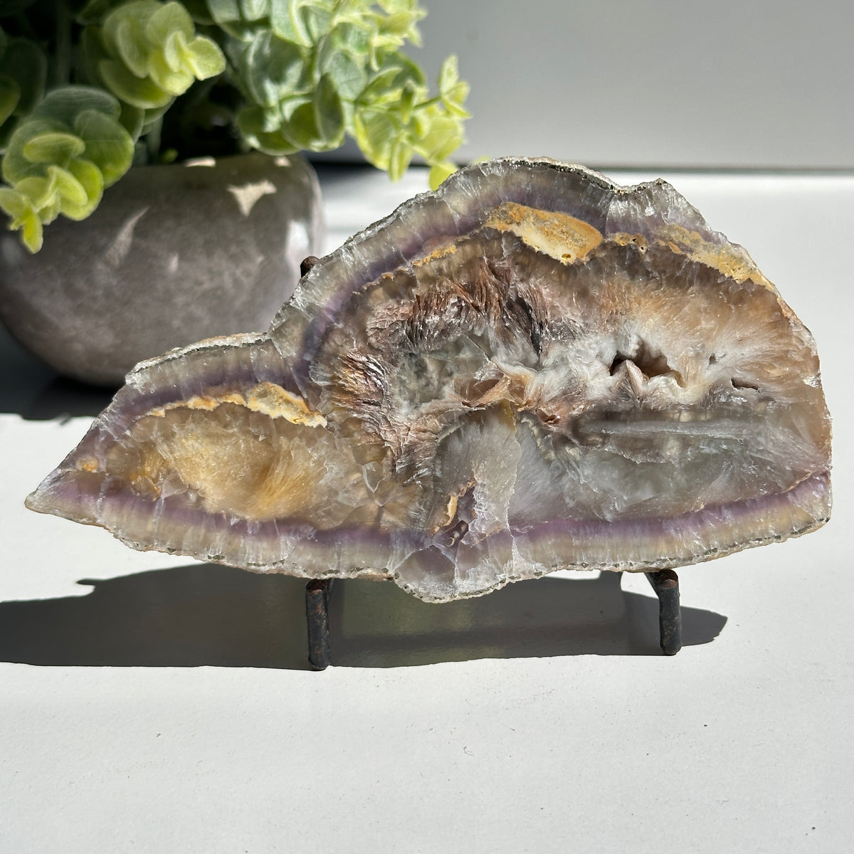 Fluorite With Pyrite Slice 280g