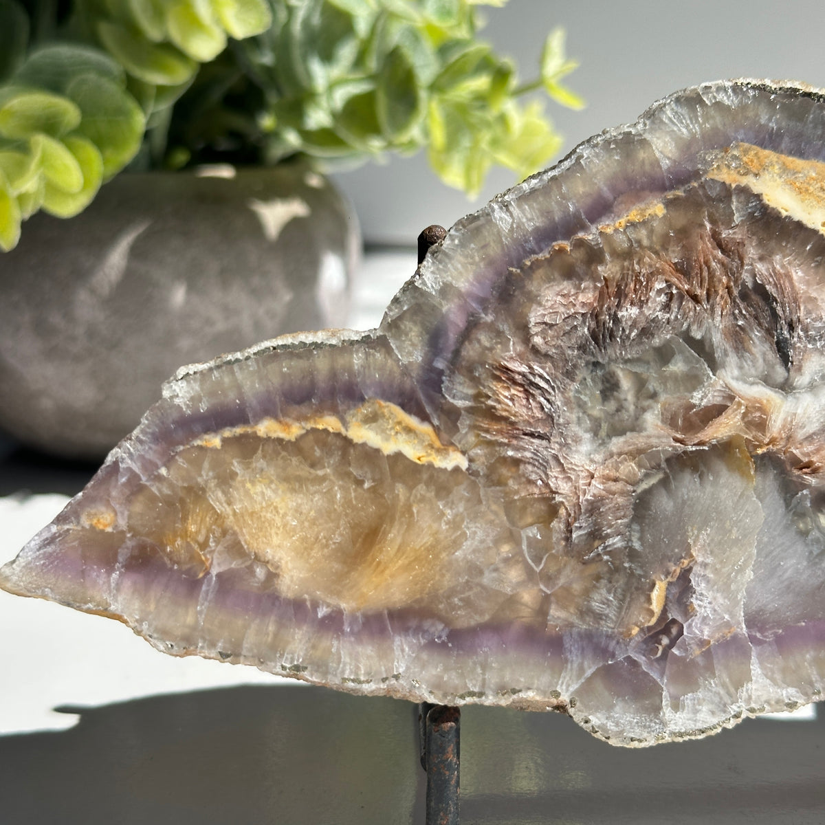 Fluorite With Pyrite Slice 280g