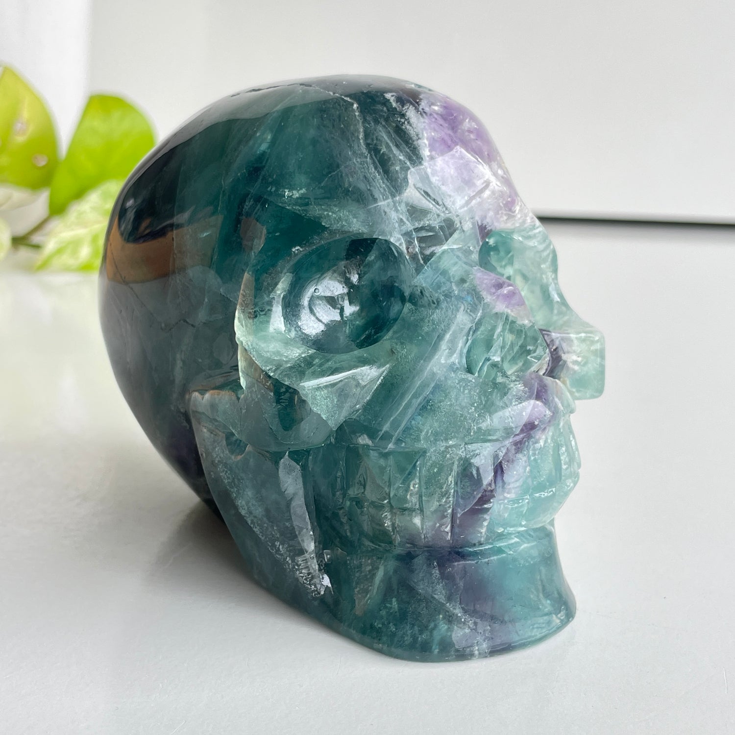 Fluorite Skull 11.5cm