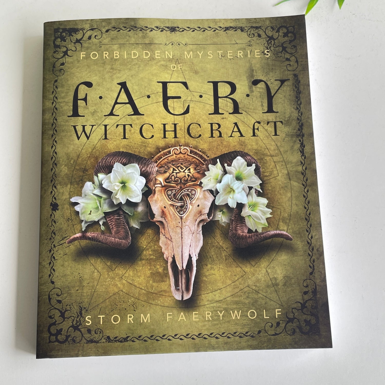 Forbidden Mysteries Of Faerie Witchcraft Storm Faerywolf