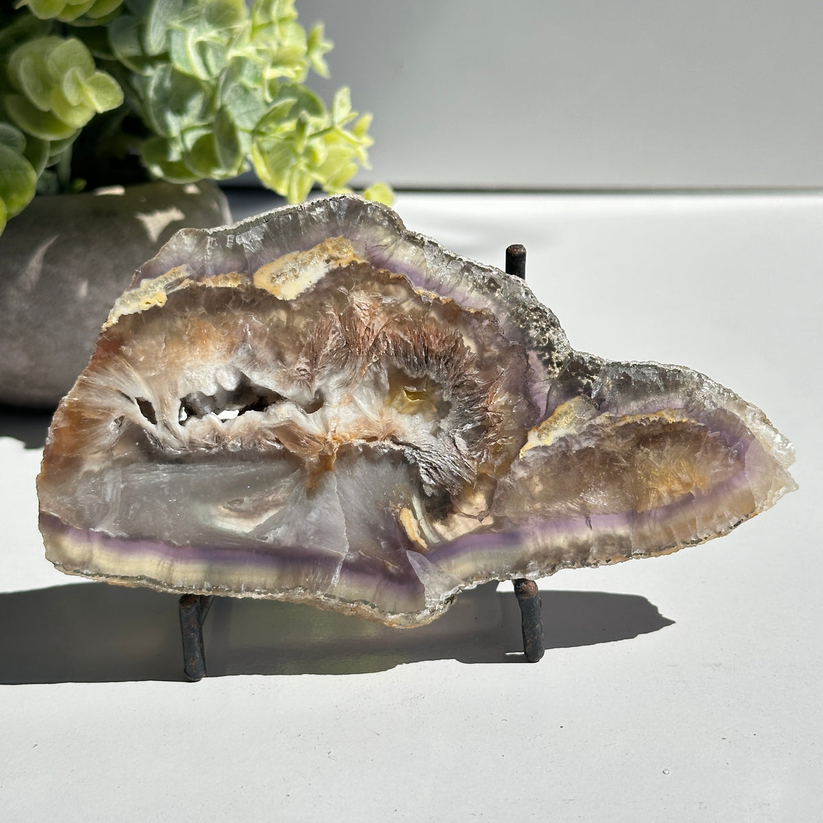 Fluorite With Pyrite Slice 244g