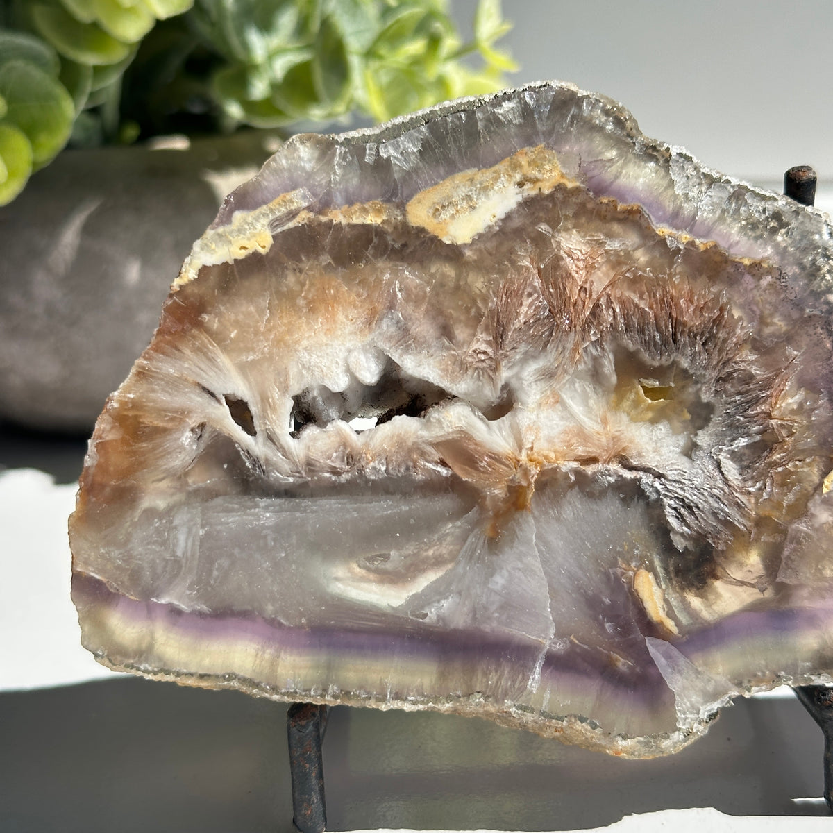 Fluorite With Pyrite Slice 244g