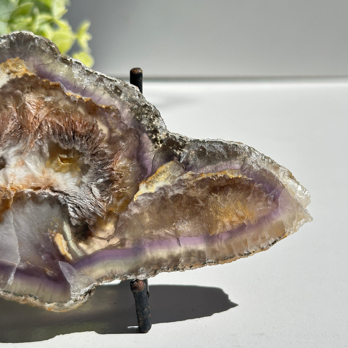 Fluorite With Pyrite Slice 244g