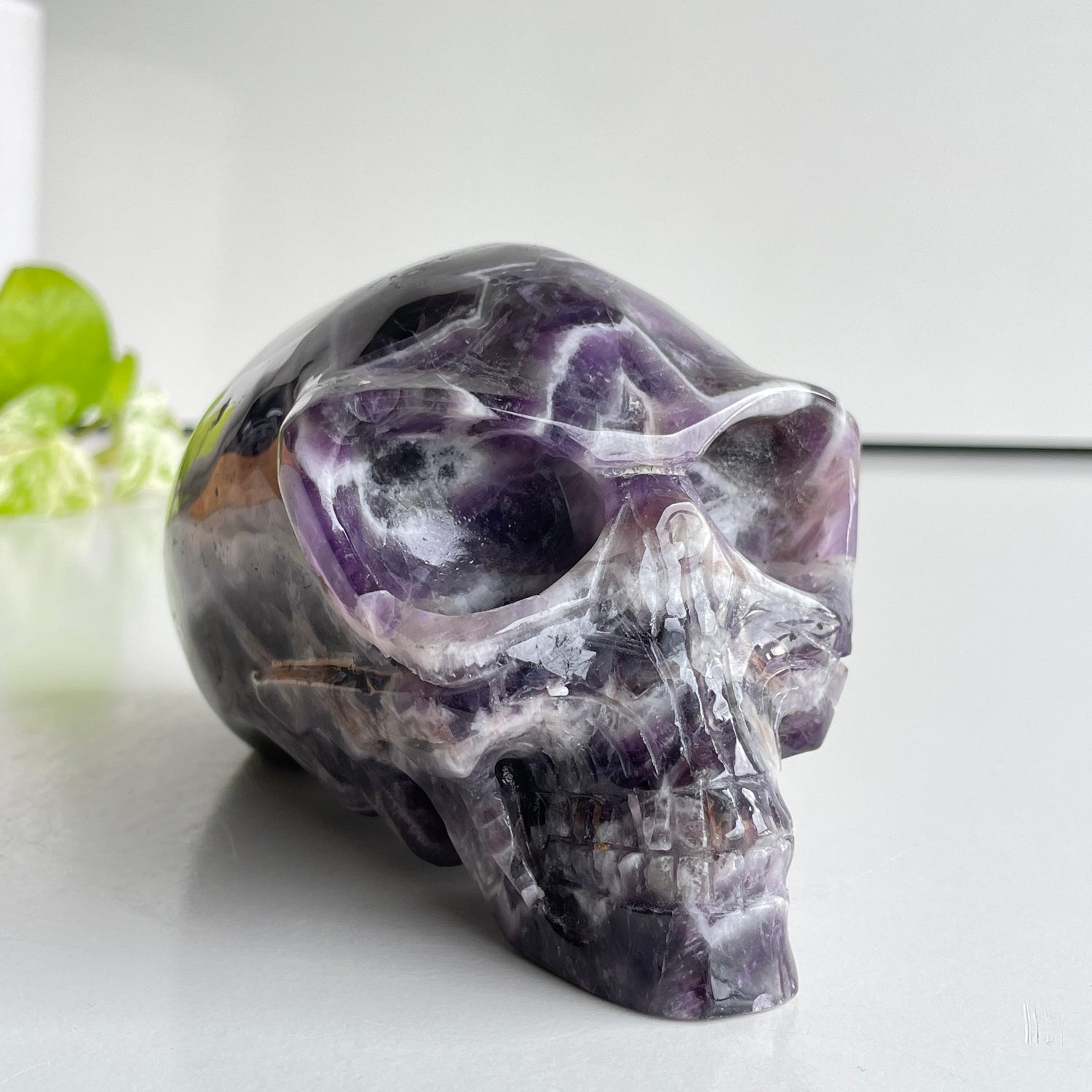 Chevron Amethyst Long Skull 15.3cm