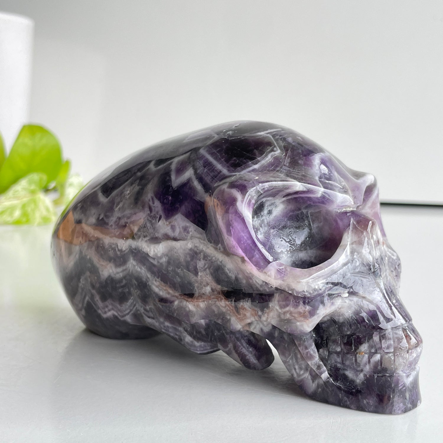 Chevron Amethyst Long Skull 15.3cm