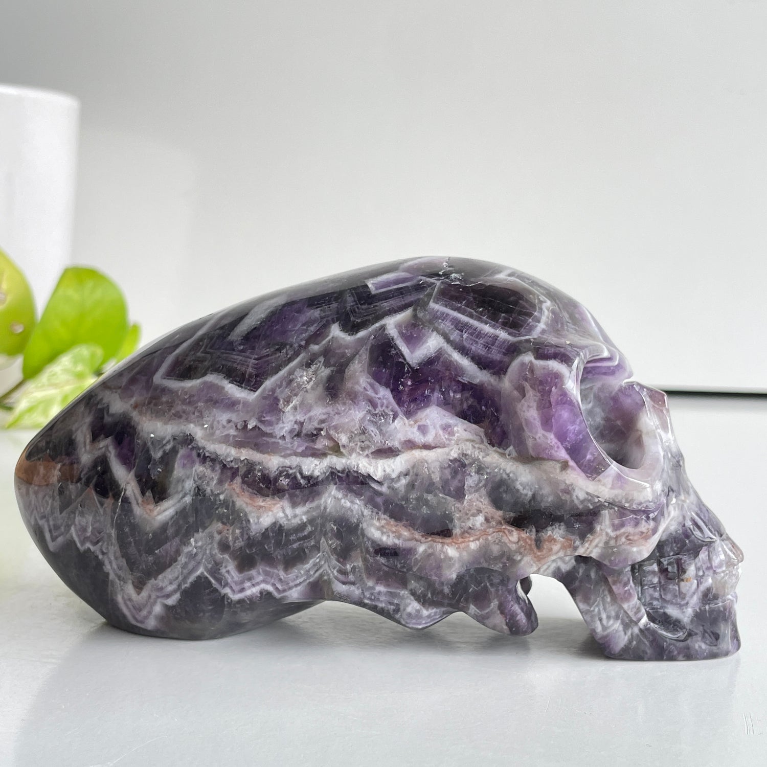 Chevron Amethyst Long Skull 15.3cm