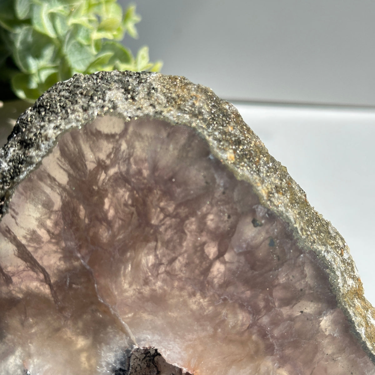 Fluorite With Pyrite Slice 308g