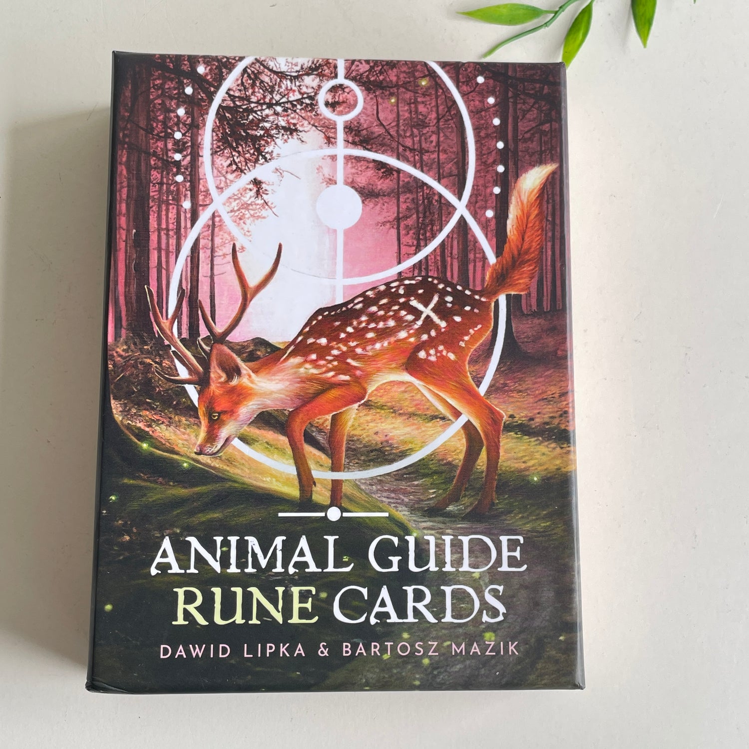 Animal Guide Rune Cards Dawid Lipka