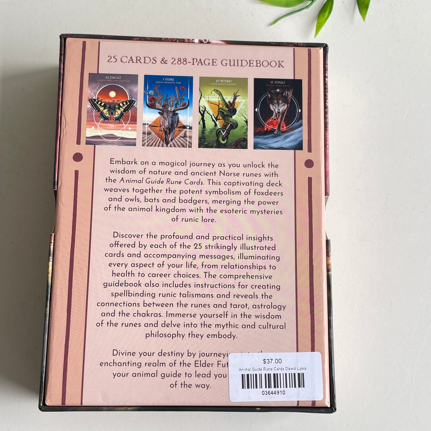 Animal Guide Rune Cards Dawid Lipka