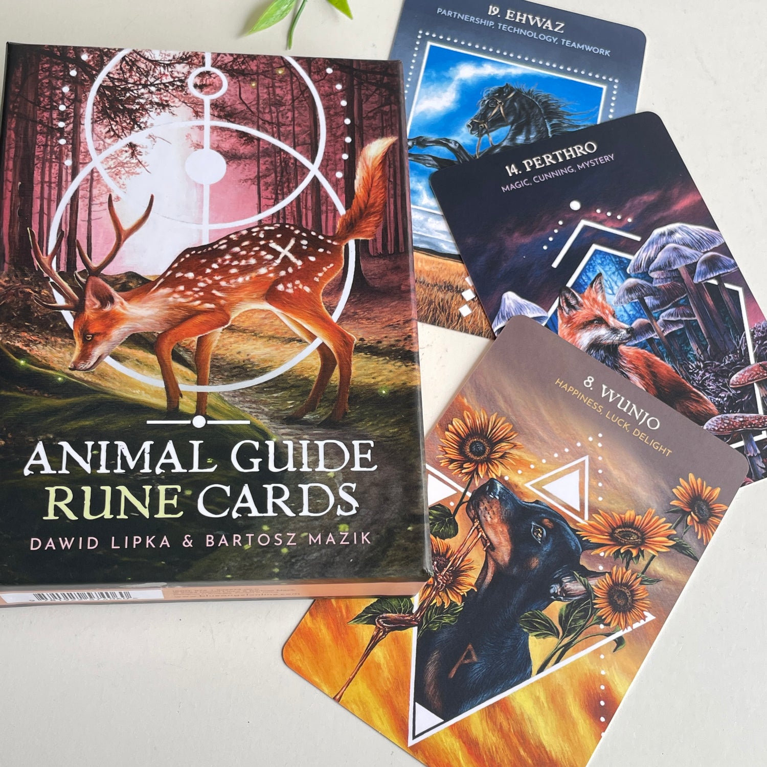 Animal Guide Rune Cards Dawid Lipka
