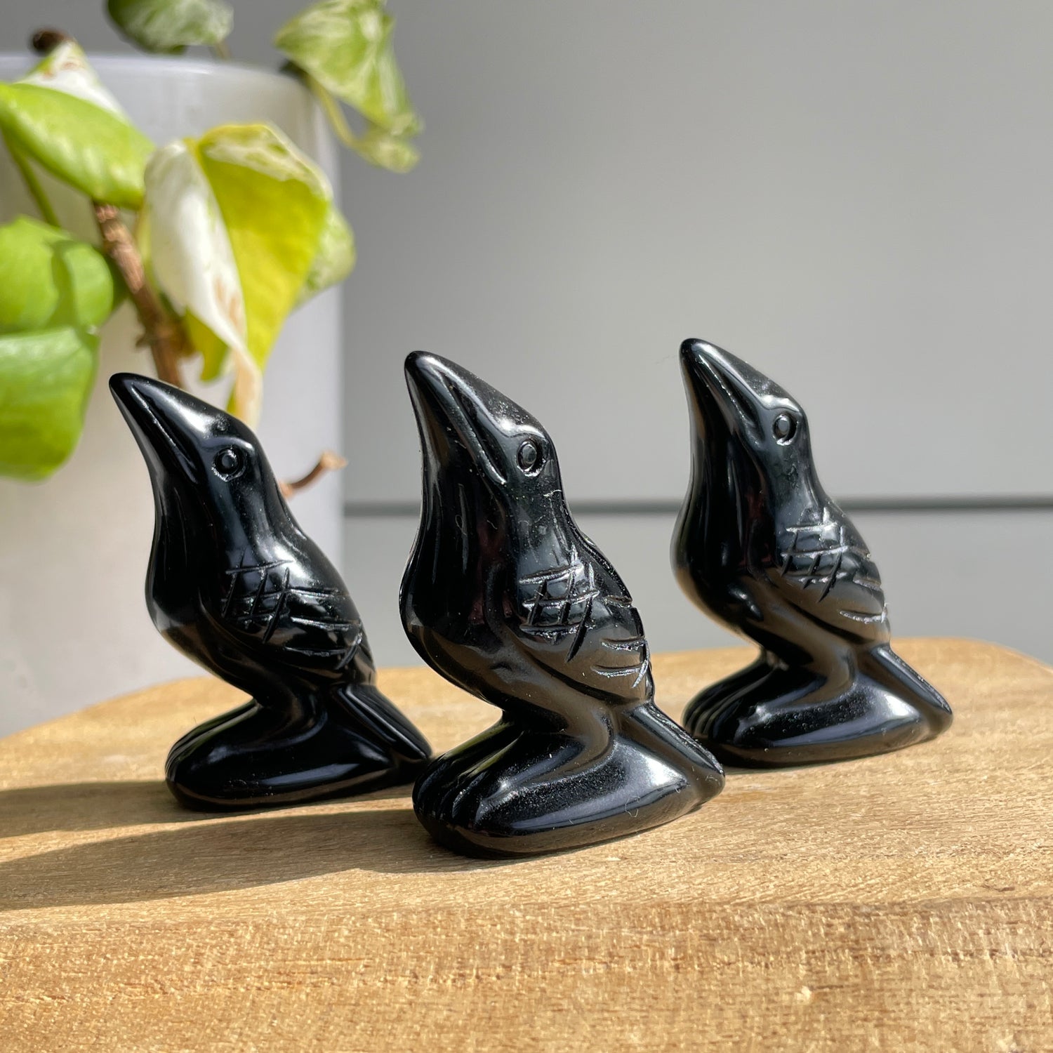 Black Obsidian Crow Sml
