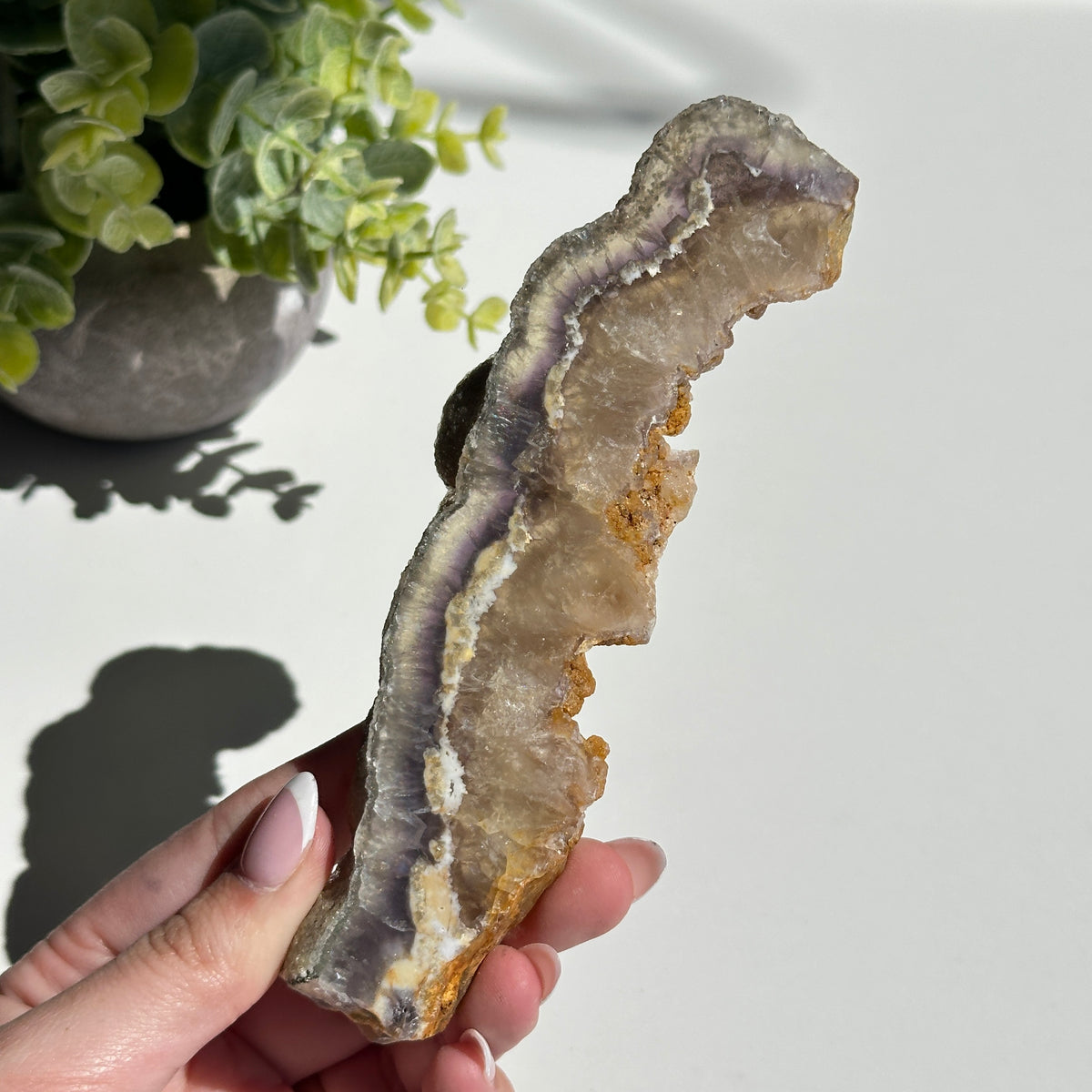 Fluorite With Pyrite Slice 192g