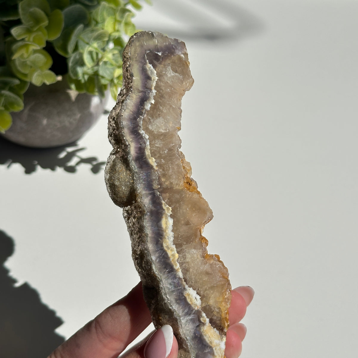 Fluorite With Pyrite Slice 192g