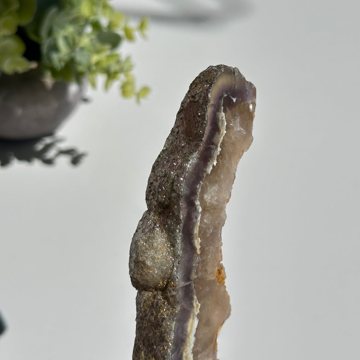 Fluorite With Pyrite Slice 192g
