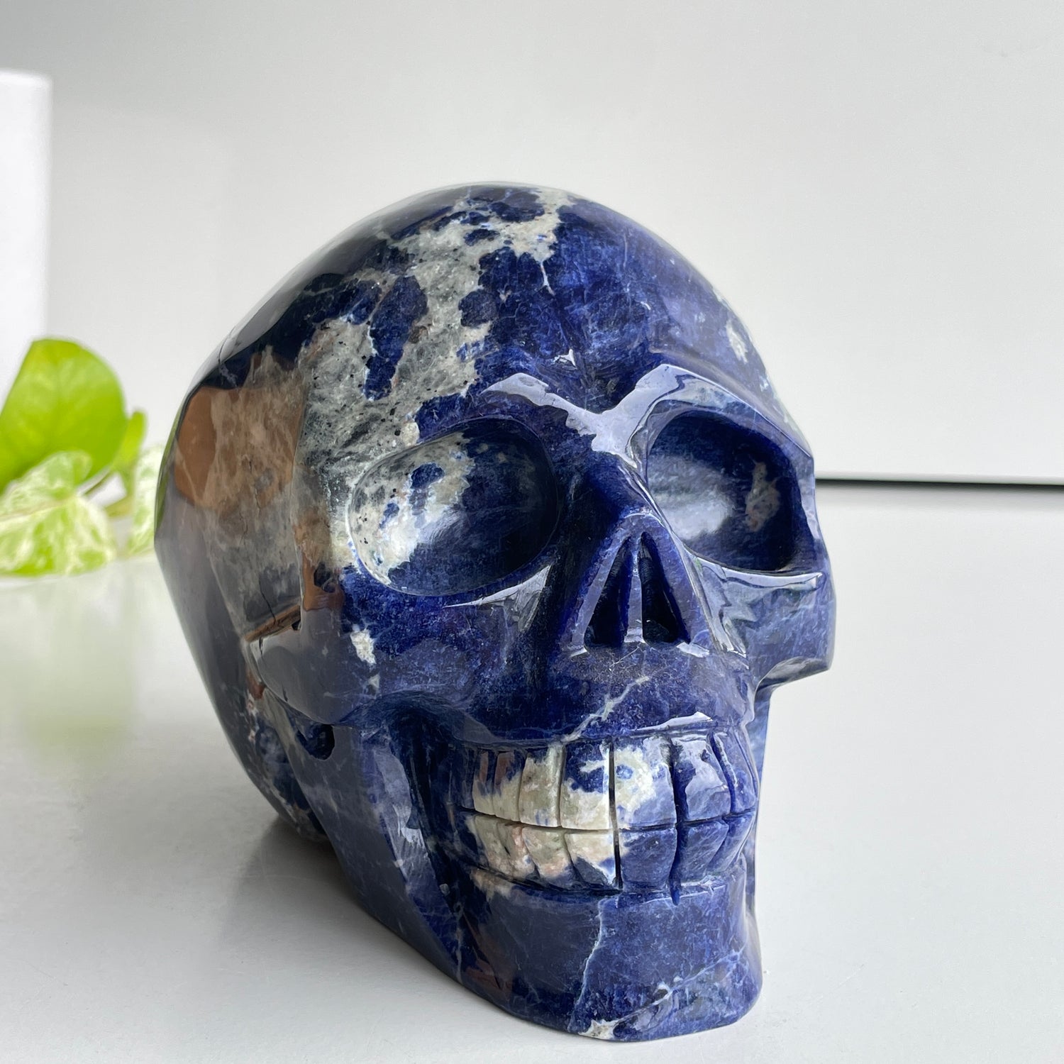 Sodalite Skull 15.5cm