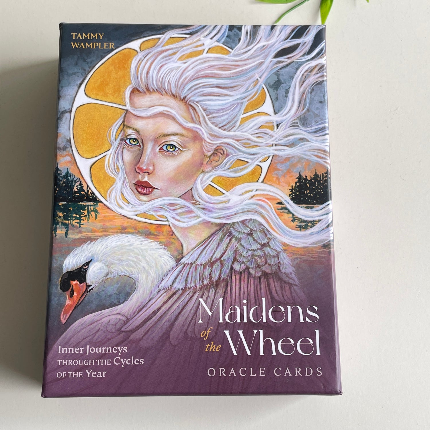 Maidens Of The Wheel Tammy Wampler