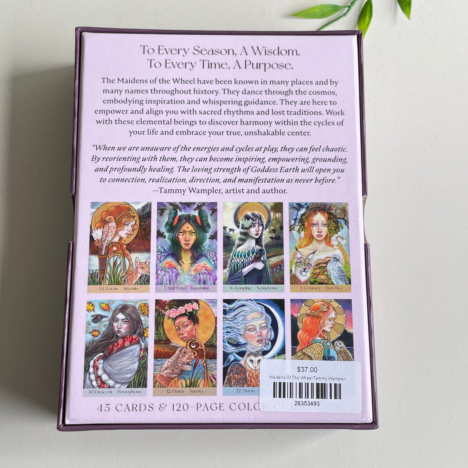 Maidens Of The Wheel Tammy Wampler