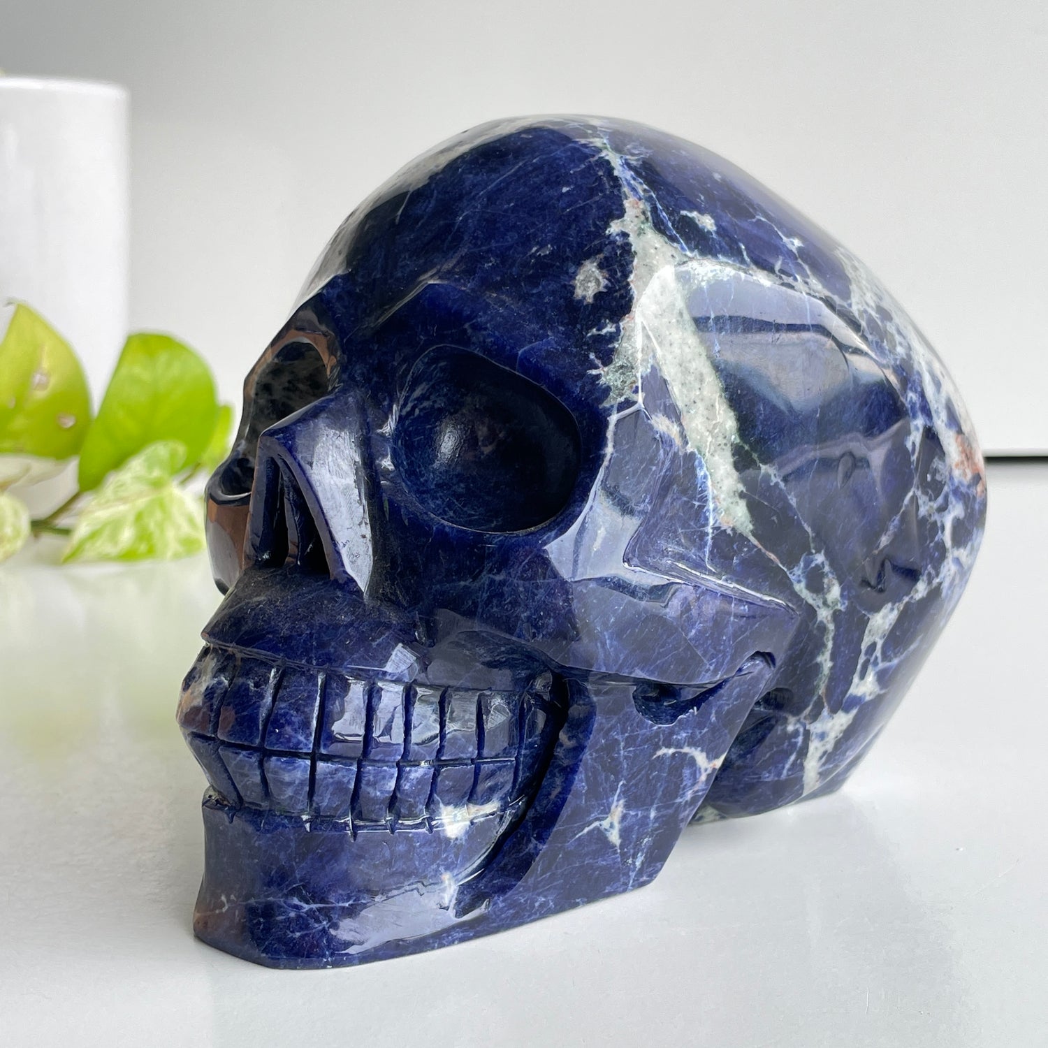 Sodalite Skull 15.5cm