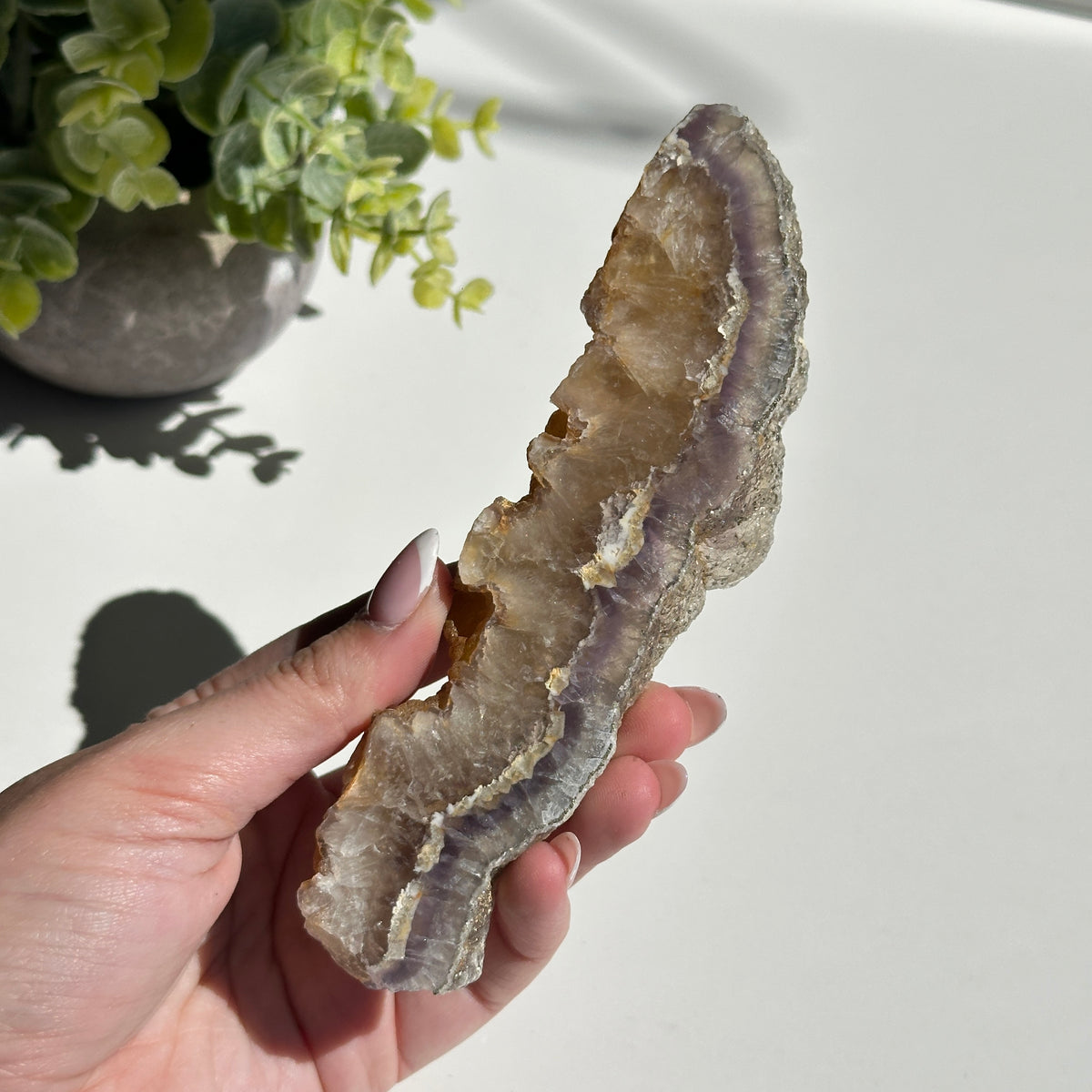 Fluorite With Pyrite Slice 192g