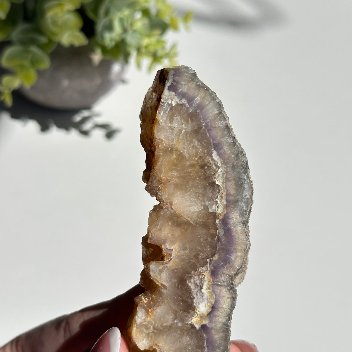 Fluorite With Pyrite Slice 192g