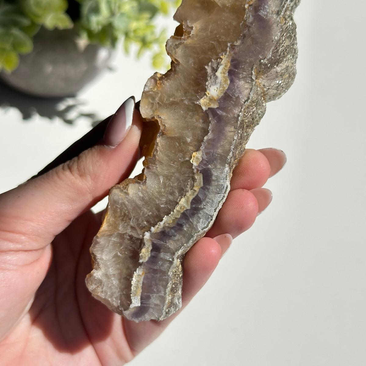 Fluorite With Pyrite Slice 192g