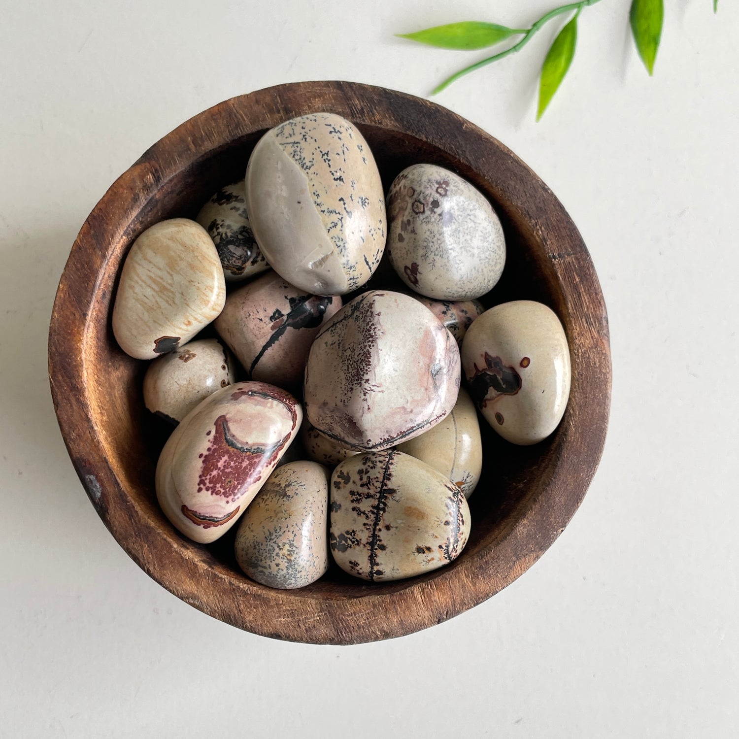 Scenic Jasper Tumbled