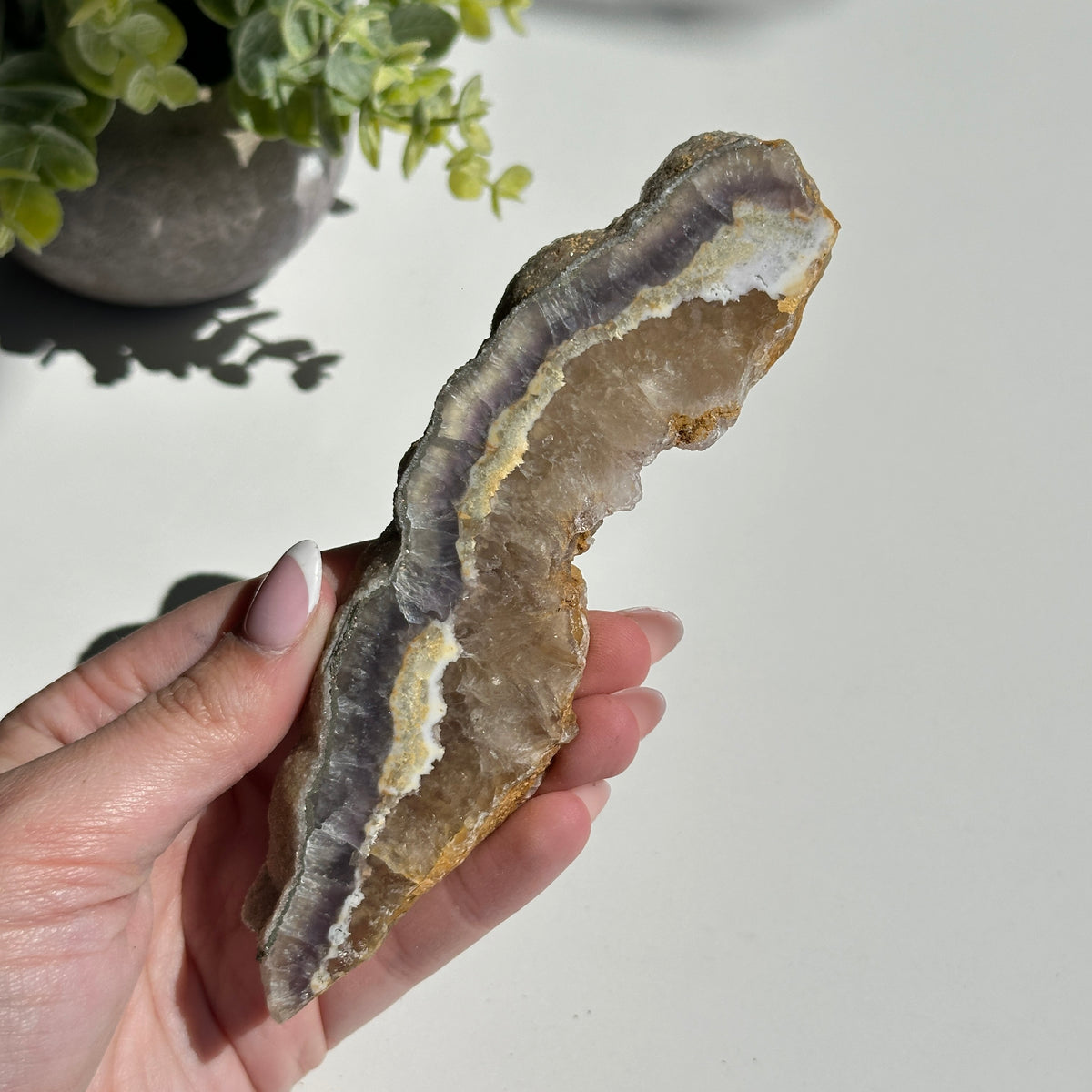 Fluorite With Pyrite Slice 182g