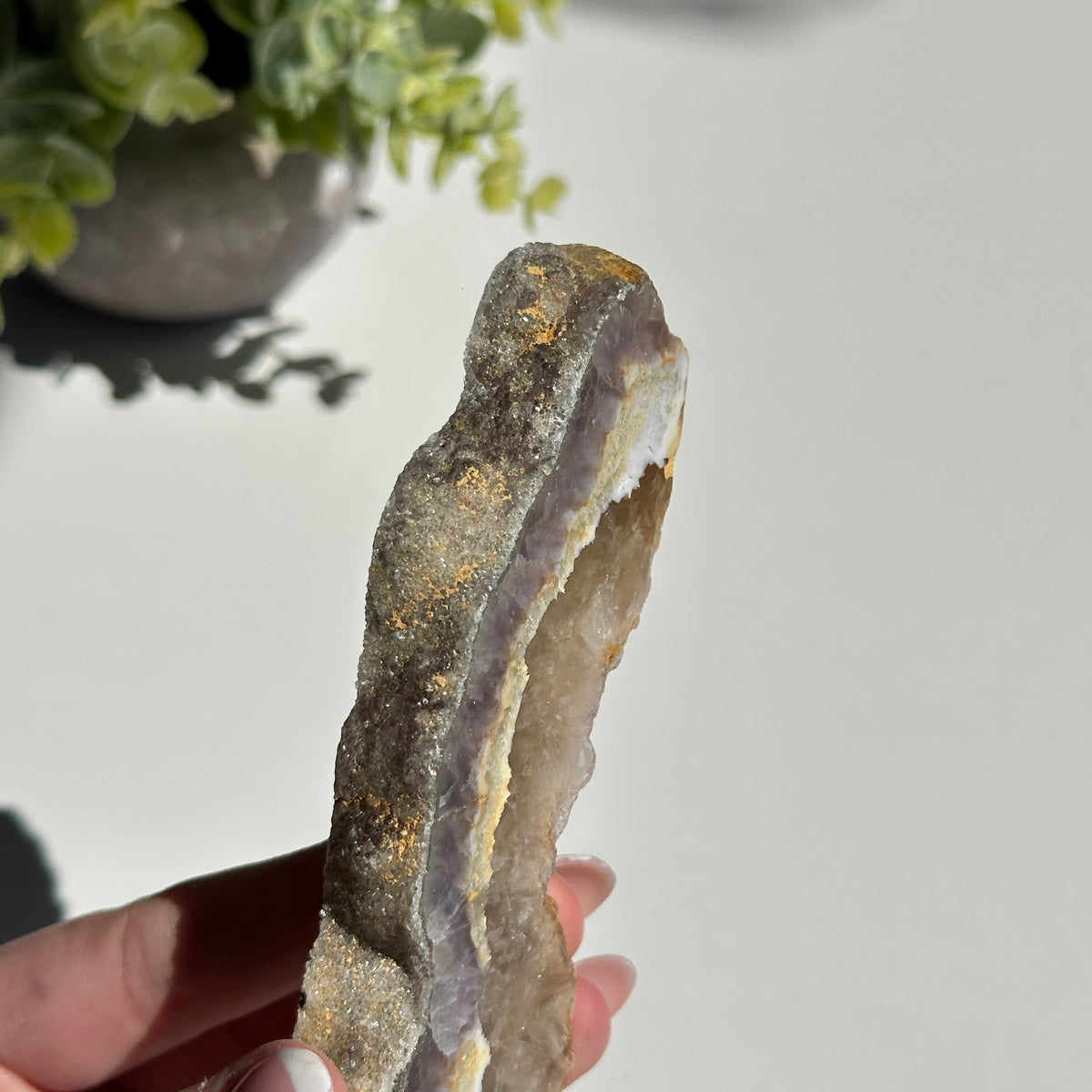 Fluorite With Pyrite Slice 182g