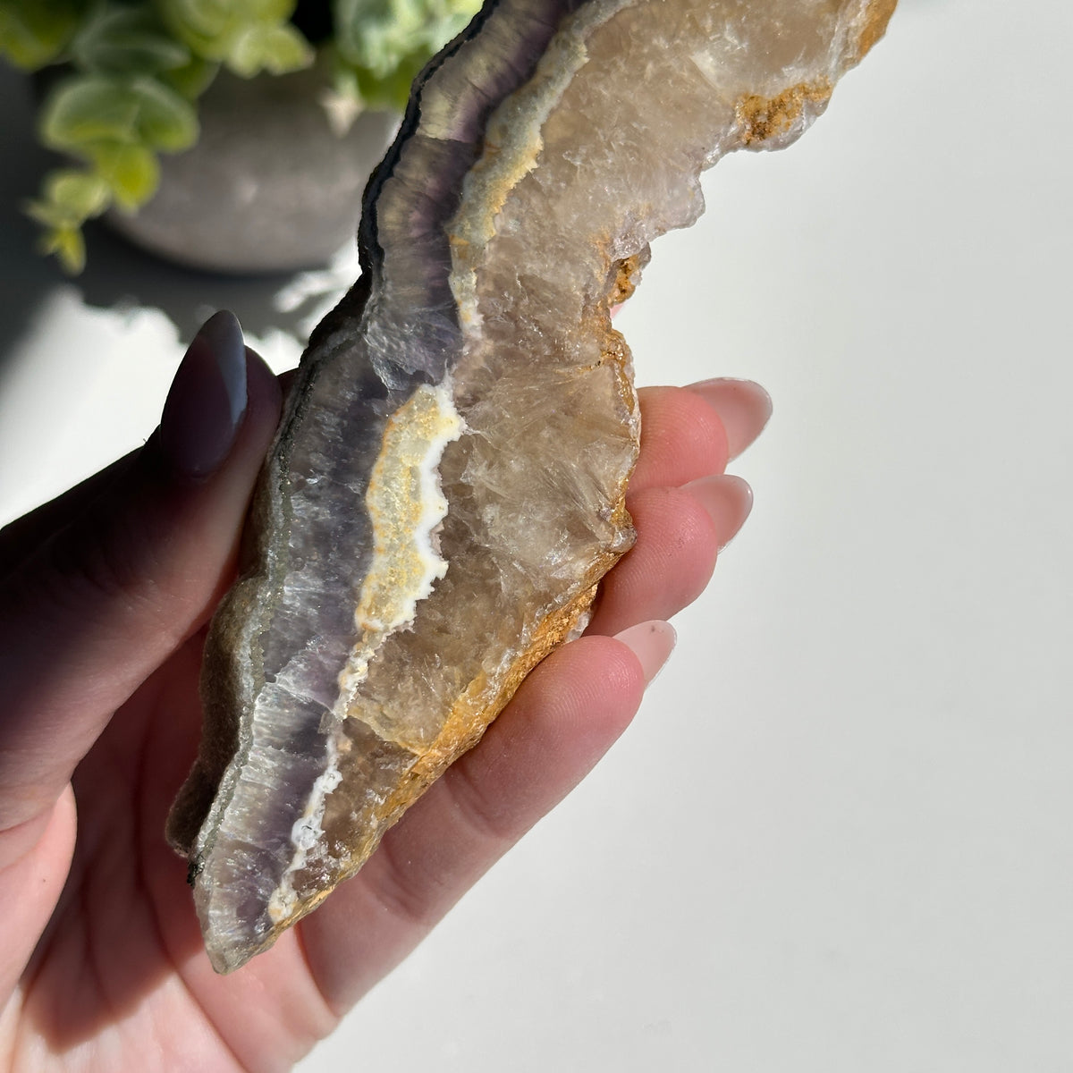 Fluorite With Pyrite Slice 182g