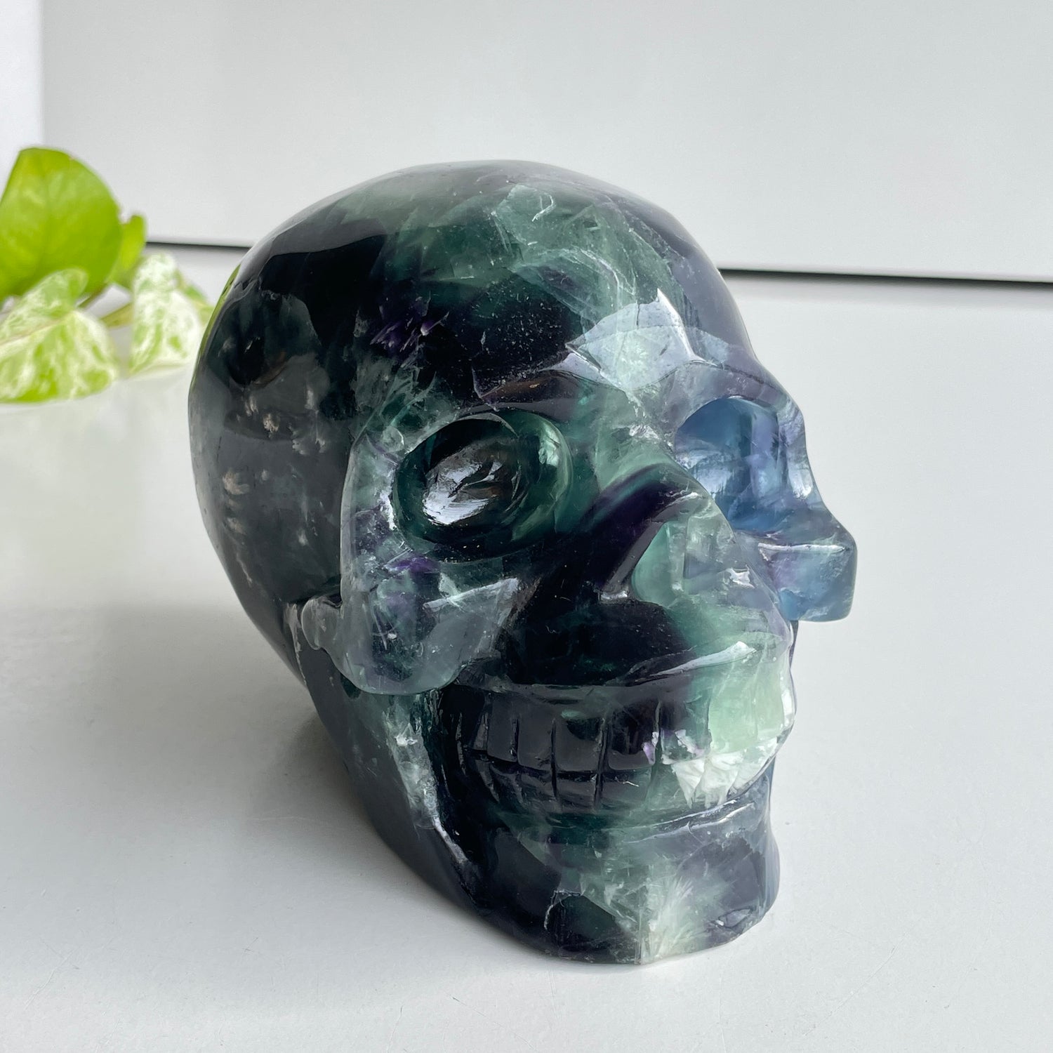 Fluorite Skull 14cm