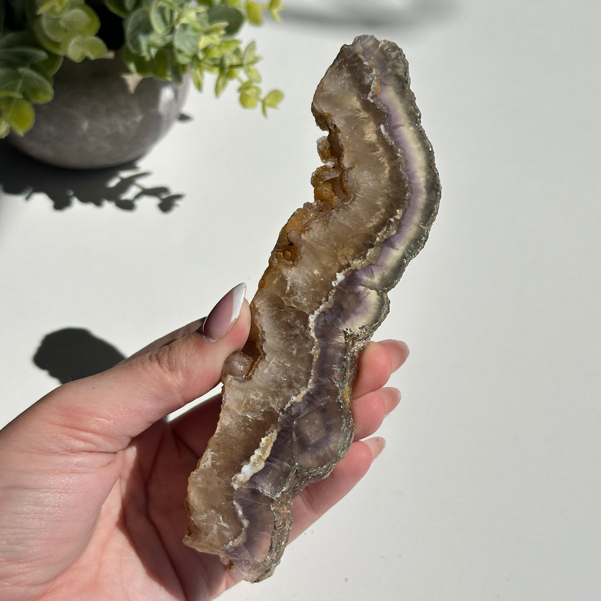 Fluorite With Pyrite Slice 180g