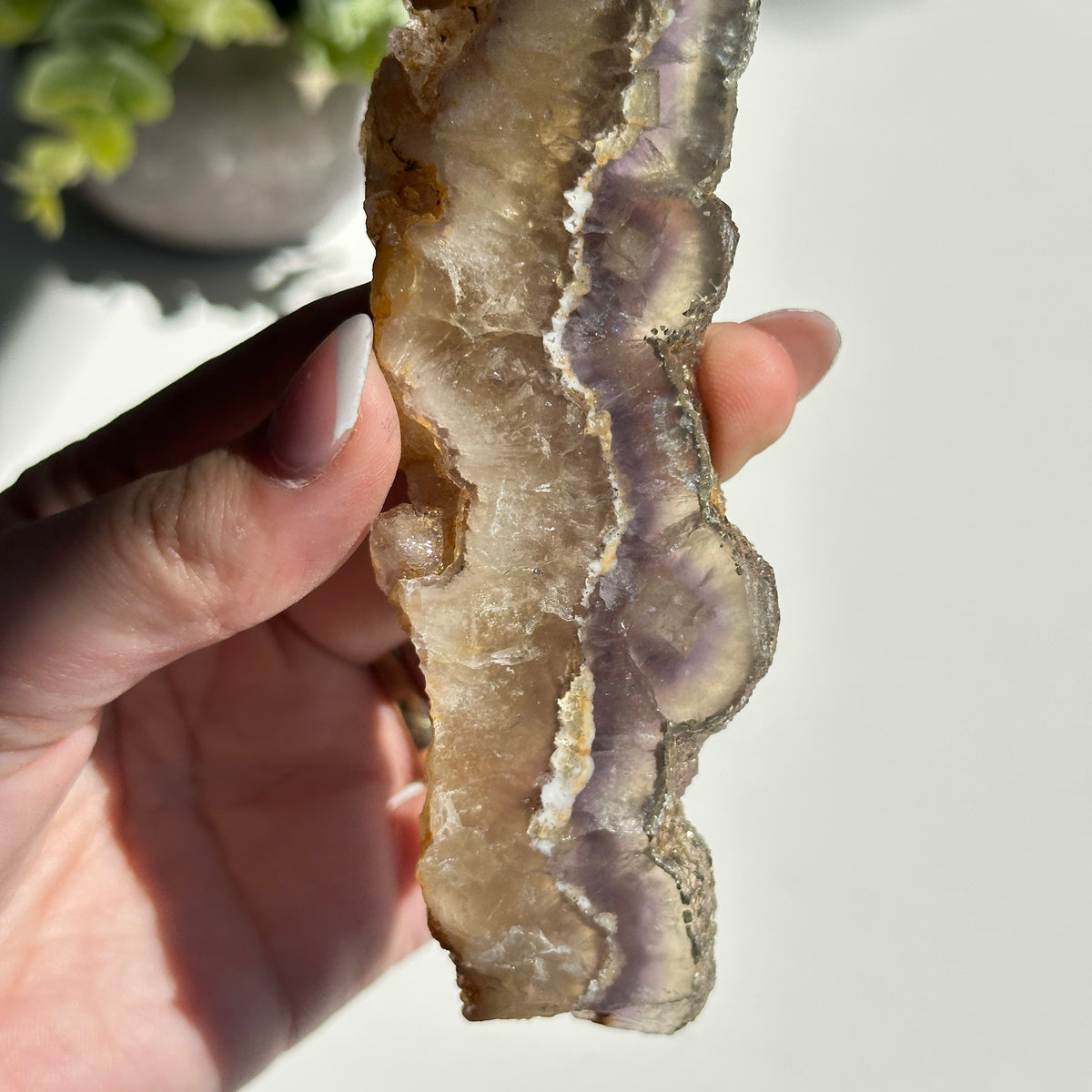 Fluorite With Pyrite Slice 180g