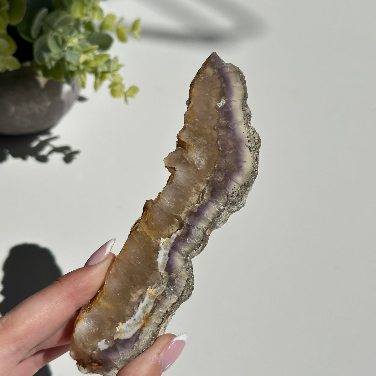 Fluorite With Pyrite Slice 154g