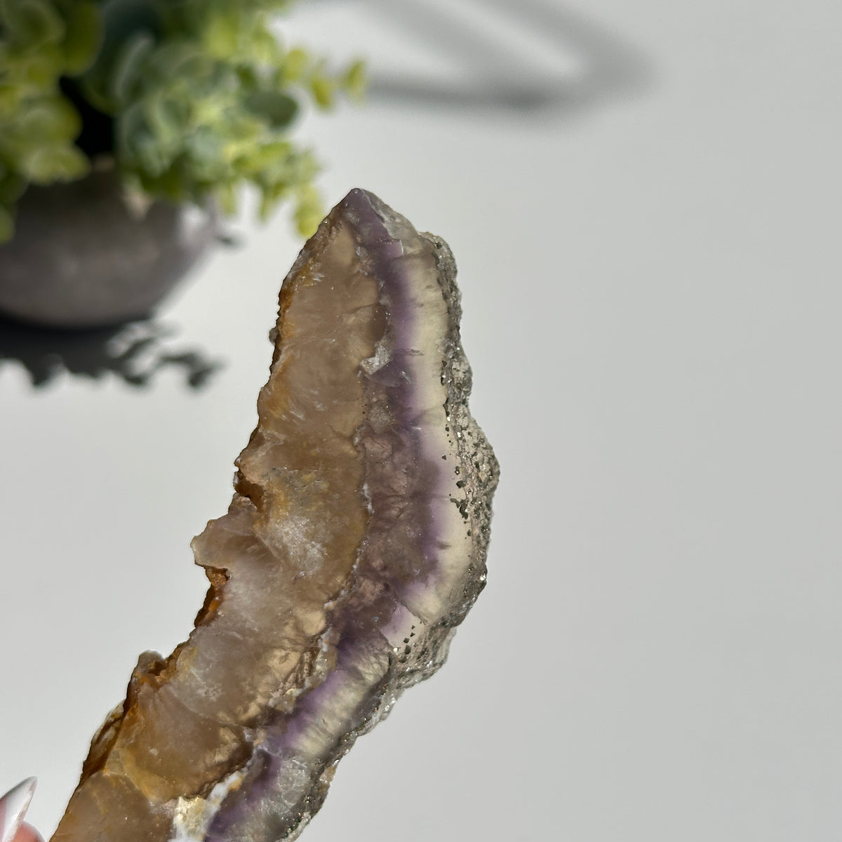 Fluorite With Pyrite Slice 154g
