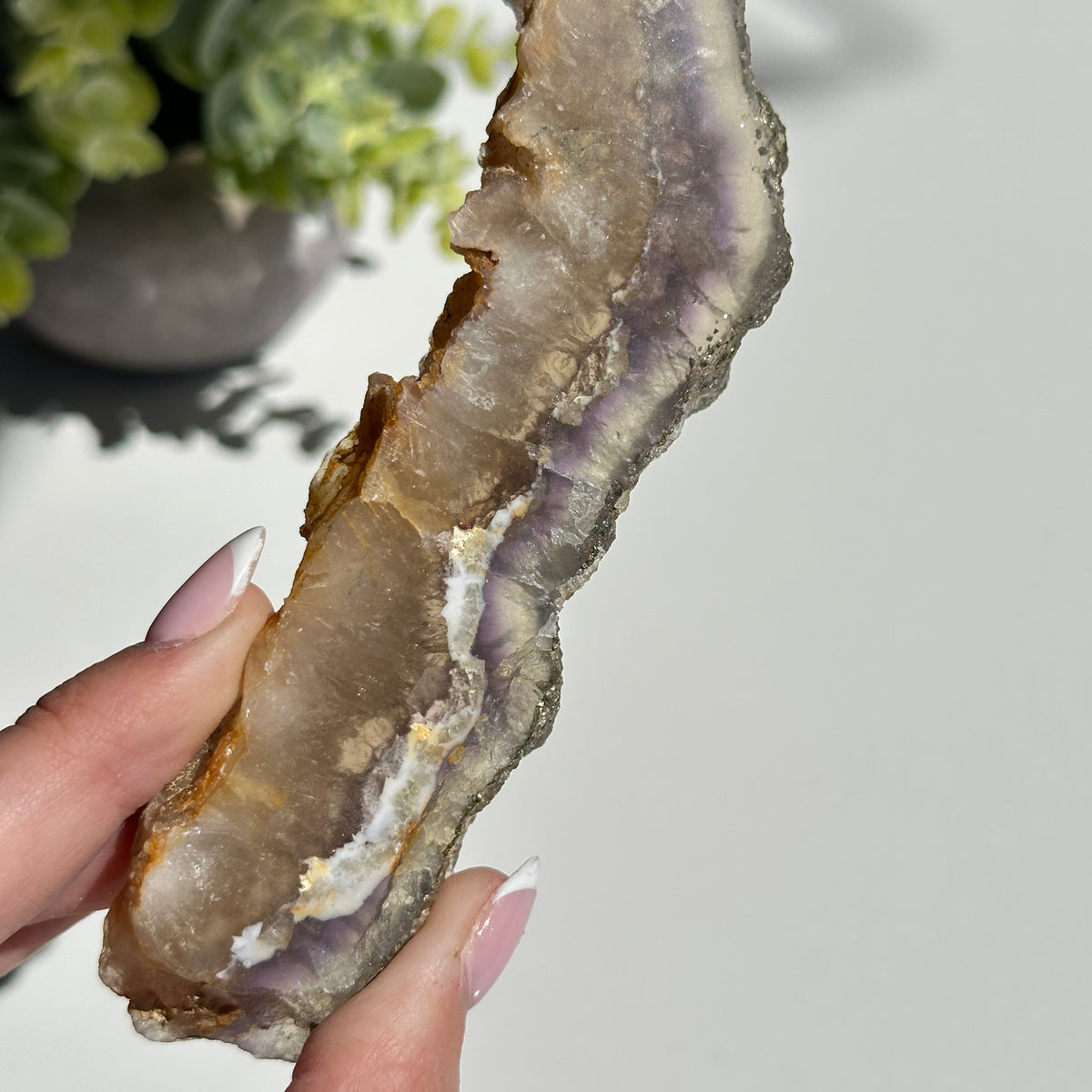 Fluorite With Pyrite Slice 154g