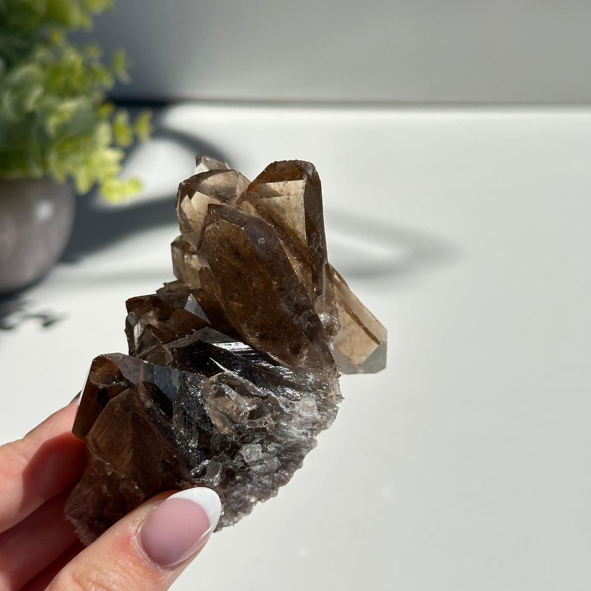 Smoky Quartz With Rutile Cluster 208g