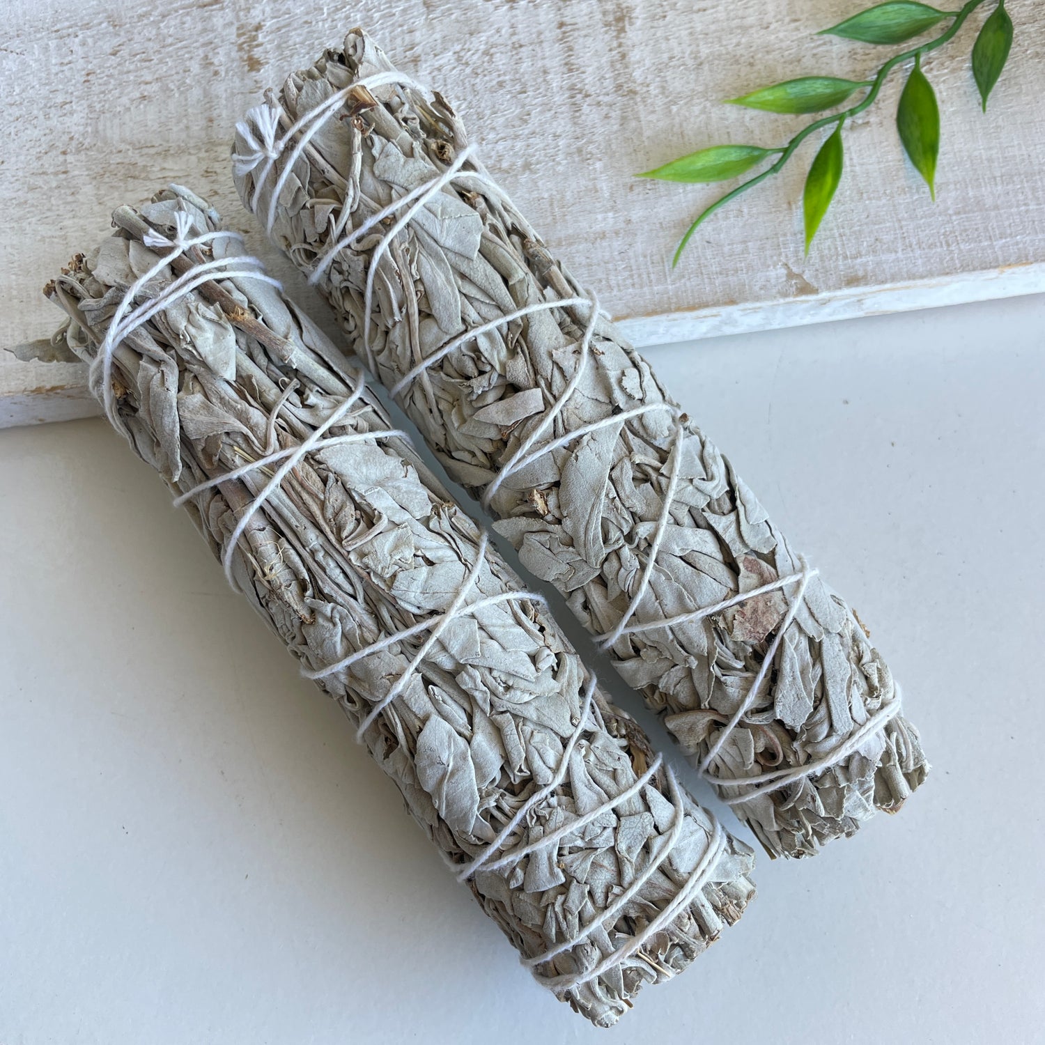 White Sage Stick Medium