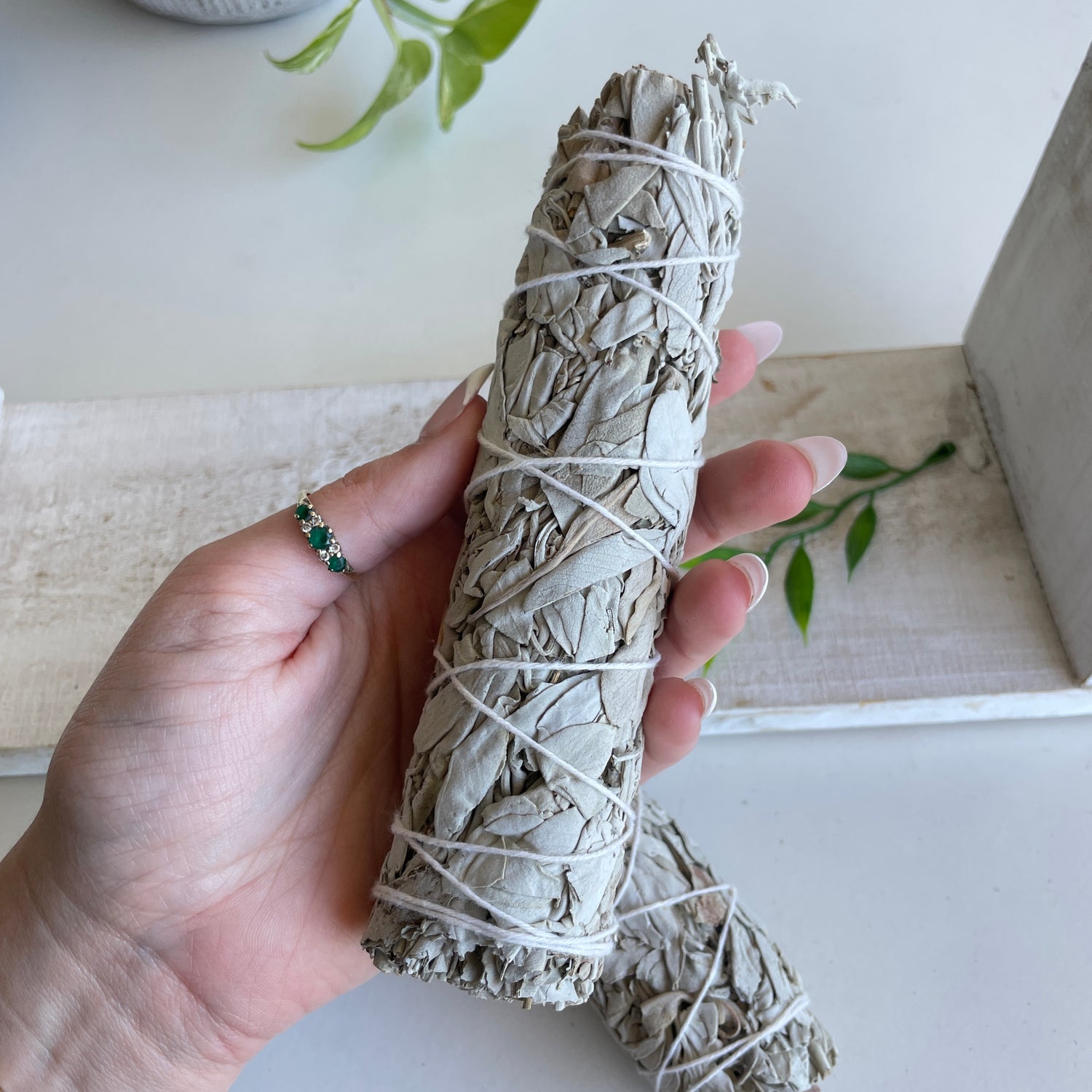 White Sage Stick Medium