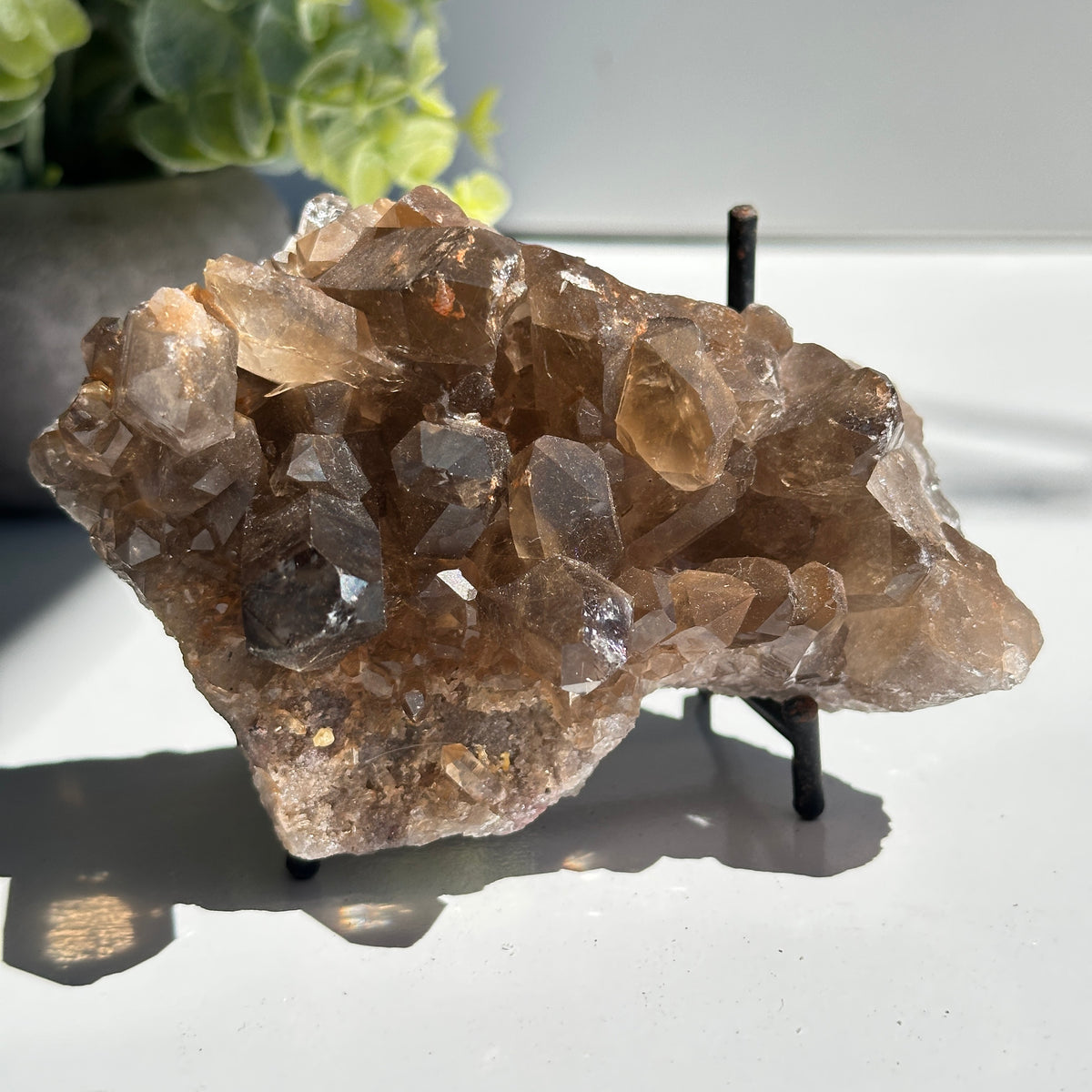 Smoky Quartz With Rutile Cluster 310g